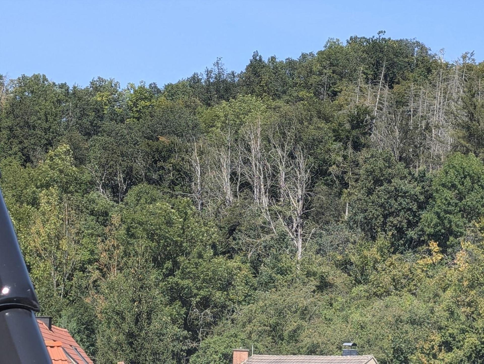 Ferienwohnung Mit Ausblick In Wimmelburg Εξωτερικό φωτογραφία